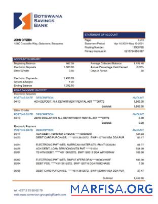 Blank Botswana Savings bank statement real example